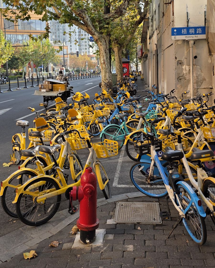 Dense rows of yellow and blue dockless shared bikes on a pavement in Shanghai
